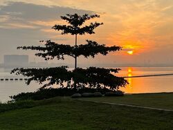 Bungalows By the Sea (D27), Detached #432504031